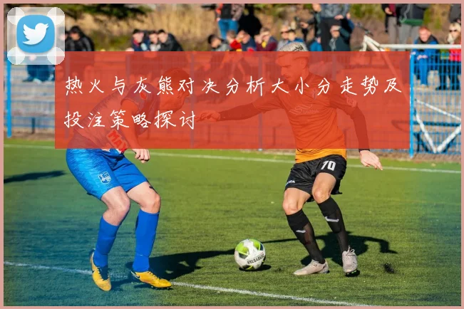 热火与灰熊对决分析大小分走势及投注策略探讨